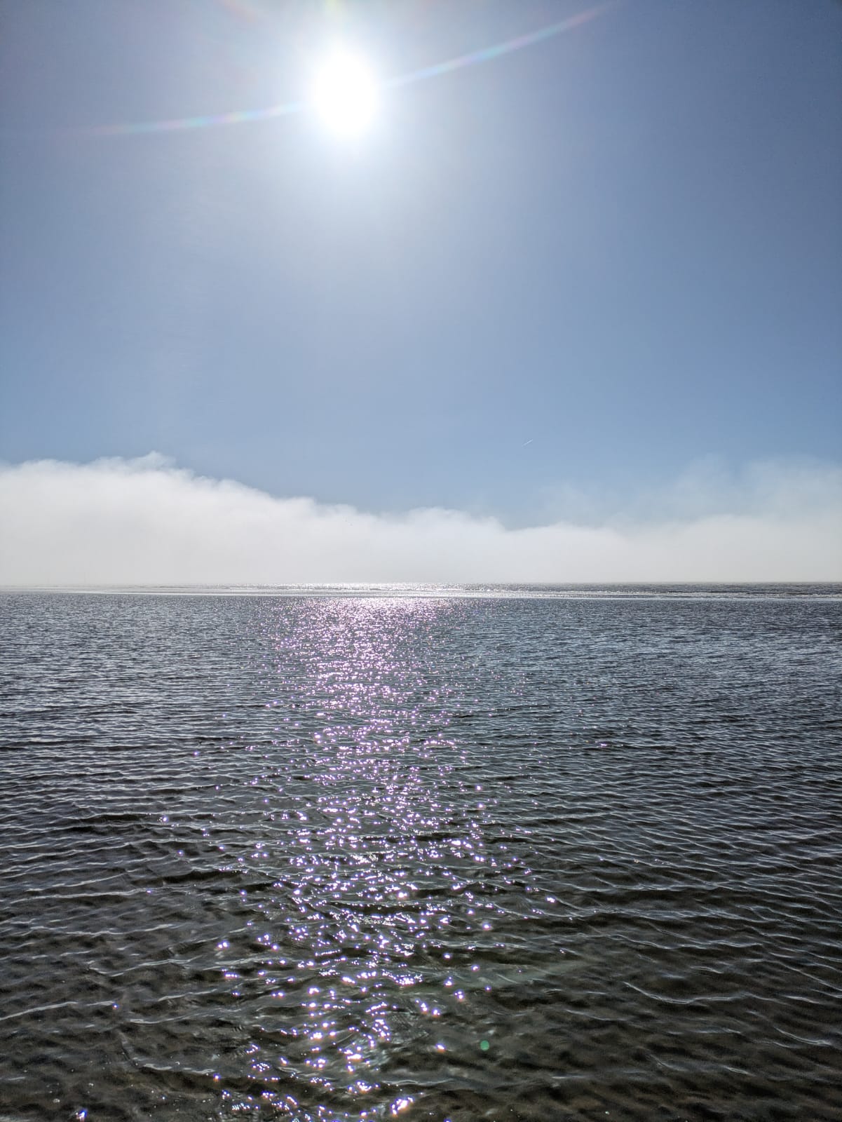IMG-20260401-WA0018