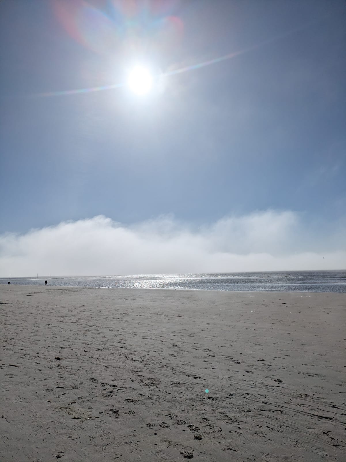 IMG-20260401-WA0025